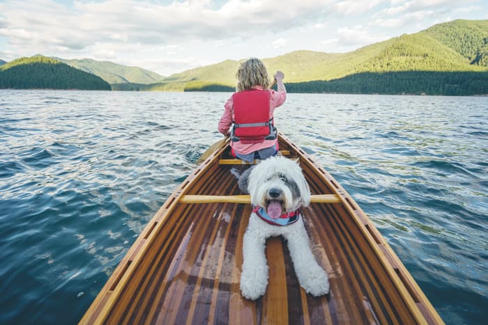 A canoe rows out into the middle of a lake on a clear day. At the head of the canoe, a blonde-haired woman rows. Directly behind her, a shaggy white dog peers at the camera excitedly.